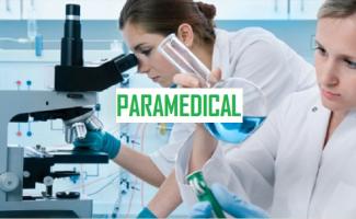 lab