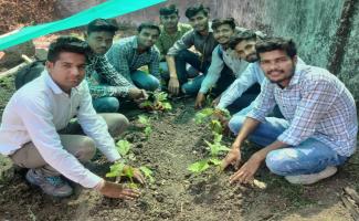 planting